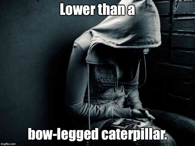 Lower than a; bow-legged caterpillar. | made w/ Imgflip meme maker