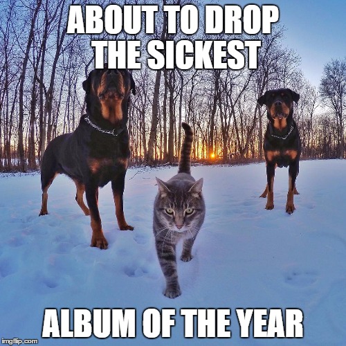 rotti album of the year | ABOUT TO DROP THE SICKEST; ALBUM OF THE YEAR | image tagged in dog,snow,kitty | made w/ Imgflip meme maker