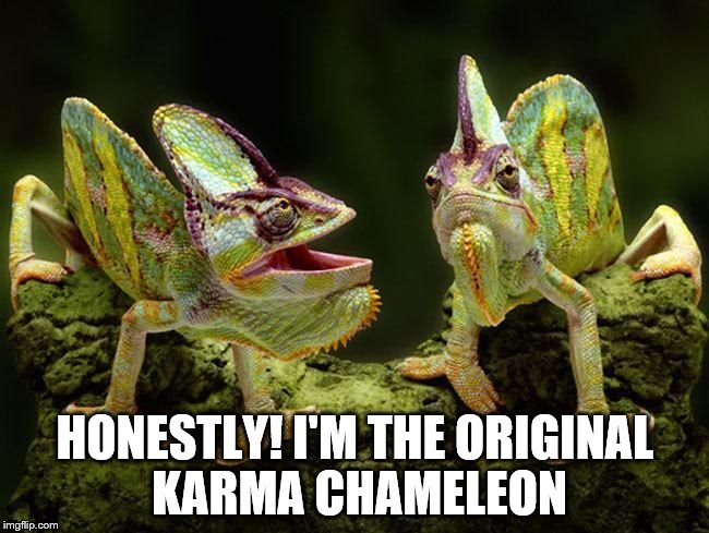 He comes and goes... | HONESTLY! I'M THE ORIGINAL KARMA CHAMELEON | image tagged in chameleons,karma chameleon,culture club,music | made w/ Imgflip meme maker