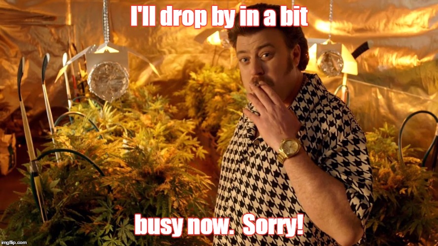 trailer park boys weed | I'll drop by in a bit busy now.  Sorry! | image tagged in trailer park boys weed | made w/ Imgflip meme maker