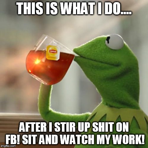 But That's None Of My Business Meme | THIS IS WHAT I DO.... AFTER I STIR UP SHIT ON FB! SIT AND WATCH MY WORK! | image tagged in memes,but thats none of my business,kermit the frog | made w/ Imgflip meme maker