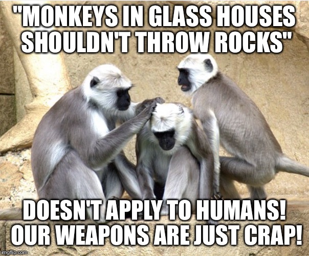 "MONKEYS IN GLASS HOUSES SHOULDN'T THROW ROCKS"; DOESN'T APPLY TO HUMANS! OUR WEAPONS ARE JUST CRAP! | image tagged in white headed monkeys | made w/ Imgflip meme maker