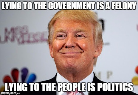 Donald trump approves | LYING TO THE GOVERNMENT IS A FELONY; LYING TO THE PEOPLE IS POLITICS | image tagged in donald trump approves | made w/ Imgflip meme maker
