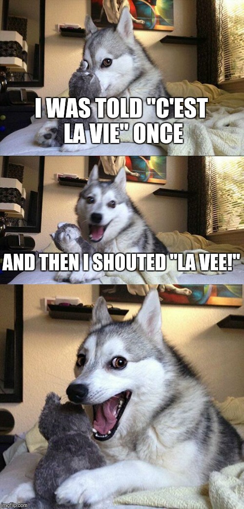 Bad Pun Dog | I WAS TOLD "C'EST LA VIE" ONCE; AND THEN I SHOUTED "LA VEE!" | image tagged in memes,bad pun dog | made w/ Imgflip meme maker