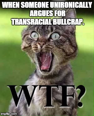 wtf | WHEN SOMEONE UNIRONICALLY ARGUES FOR TRANSRACIAL BULLCRAP. | image tagged in wtf,cat,memes | made w/ Imgflip meme maker