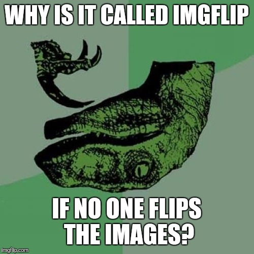 Philosoraptor | WHY IS IT CALLED IMGFLIP; IF NO ONE FLIPS THE IMAGES? | image tagged in memes,philosoraptor | made w/ Imgflip meme maker