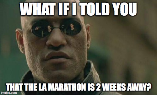 Matrix Morpheus Meme | WHAT IF I TOLD YOU; THAT THE LA MARATHON IS 2 WEEKS AWAY? | image tagged in memes,matrix morpheus | made w/ Imgflip meme maker
