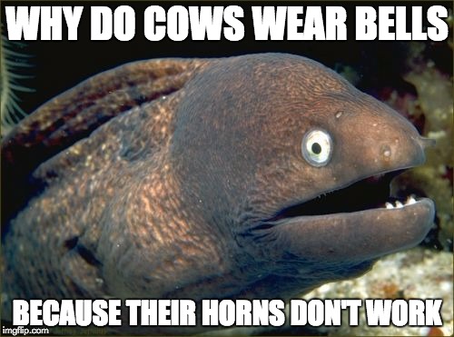 Bad Joke Eel | WHY DO COWS WEAR BELLS; BECAUSE THEIR HORNS DON'T WORK | image tagged in memes,bad joke eel | made w/ Imgflip meme maker