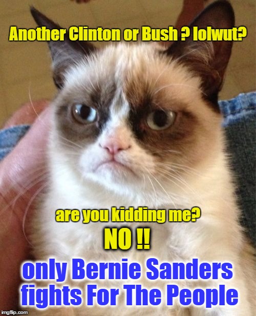 Grumpy Cat | Another Clinton or Bush ? lolwut? are you kidding me? NO !! only Bernie Sanders fights For The People | image tagged in memes,grumpy cat | made w/ Imgflip meme maker