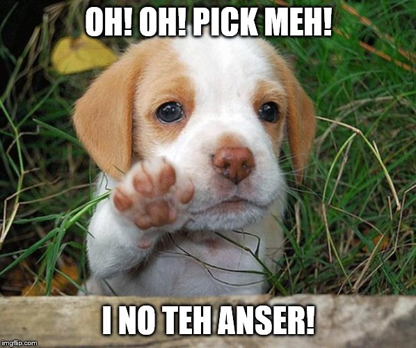 dog puppy bye | OH! OH! PICK MEH! I NO TEH ANSER! | image tagged in dog puppy bye | made w/ Imgflip meme maker