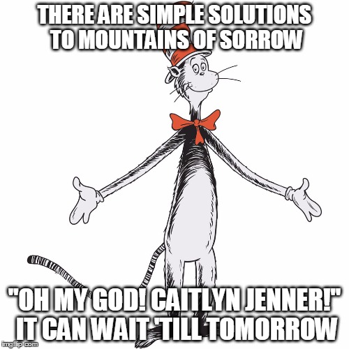 THERE ARE SIMPLE SOLUTIONS TO MOUNTAINS OF SORROW; "OH MY GOD! CAITLYN JENNER!" IT CAN WAIT 'TILL TOMORROW | image tagged in cat in the hat 1 | made w/ Imgflip meme maker