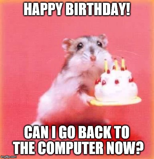 birthday hamster | HAPPY BIRTHDAY! CAN I GO BACK TO THE COMPUTER NOW? | image tagged in birthday hamster | made w/ Imgflip meme maker