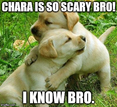 Puppy I love bro | CHARA IS SO SCARY BRO! I KNOW BRO. | image tagged in puppy i love bro | made w/ Imgflip meme maker