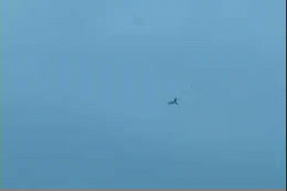 image tagged in gifs | made w/ Imgflip video-to-gif maker