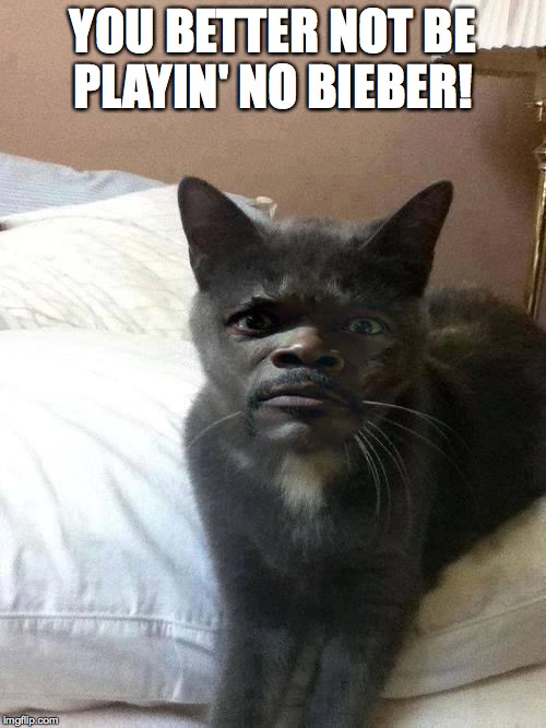 Samuel L Catson | YOU BETTER NOT BE PLAYIN' NO BIEBER! | image tagged in samuel l catson | made w/ Imgflip meme maker