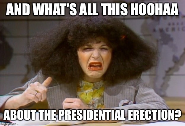 AND WHAT'S ALL THIS HOOHAA ABOUT THE PRESIDENTIAL ERECTION? | made w/ Imgflip meme maker