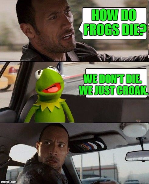 Rock driving | HOW DO FROGS DIE? WE DON'T DIE. WE JUST CROAK. | image tagged in the rock driving | made w/ Imgflip meme maker