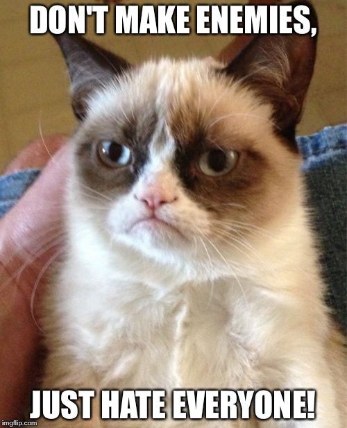 Grumpy Cat | DON'T MAKE ENEMIES, JUST HATE EVERYONE! | image tagged in memes,grumpy cat | made w/ Imgflip meme maker