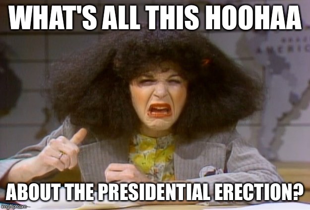 WHAT'S ALL THIS HOOHAA; ABOUT THE PRESIDENTIAL ERECTION? | image tagged in roseann roseannadana | made w/ Imgflip meme maker