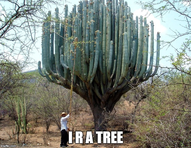 ydjy2.jpg
