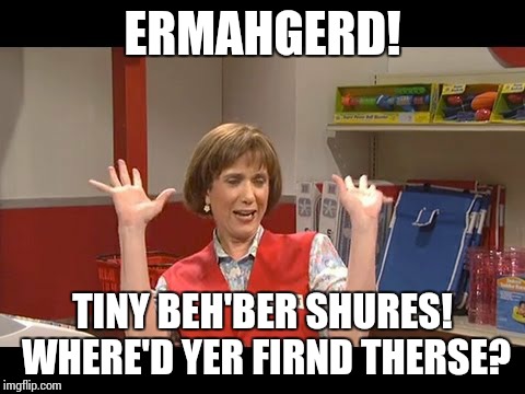 ERMAHGERD! TINY BEH'BER SHURES! WHERE'D YER FIRND THERSE? | image tagged in ermahgerd,snl,target | made w/ Imgflip meme maker