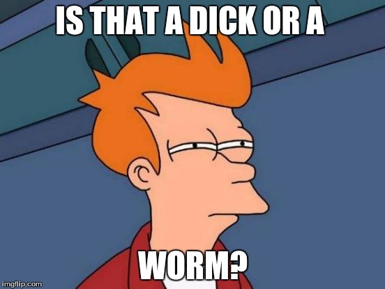 Futurama Fry Meme | IS THAT A DICK OR A; WORM? | image tagged in memes,futurama fry | made w/ Imgflip meme maker