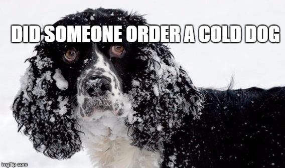 DID SOMEONE ORDER A COLD DOG | made w/ Imgflip meme maker