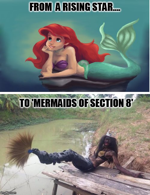 I always wondered whatever happened to Ariel.... | FROM  A RISING STAR.... TO 'MERMAIDS OF SECTION 8' | image tagged in mermaid,ariel,funny memes,memes,meme | made w/ Imgflip meme maker