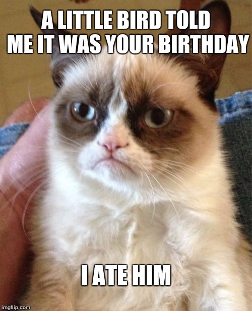 Grumpy Cat | A LITTLE BIRD TOLD ME IT WAS YOUR BIRTHDAY; I ATE HIM | image tagged in memes,grumpy cat | made w/ Imgflip meme maker