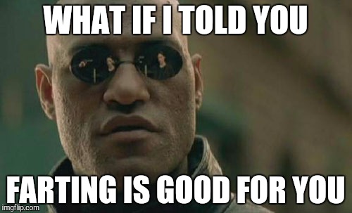 Matrix Morpheus | WHAT IF I TOLD YOU; FARTING IS GOOD FOR YOU | image tagged in memes,matrix morpheus | made w/ Imgflip meme maker
