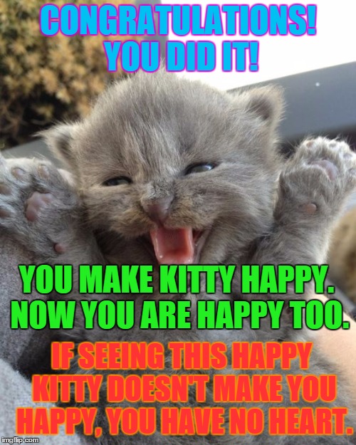 Yay Kitty | CONGRATULATIONS! YOU DID IT! YOU MAKE KITTY HAPPY. NOW YOU ARE HAPPY TOO. IF SEEING THIS HAPPY KITTY DOESN'T MAKE YOU HAPPY, YOU HAVE NO HEART. | image tagged in yay kitty | made w/ Imgflip meme maker