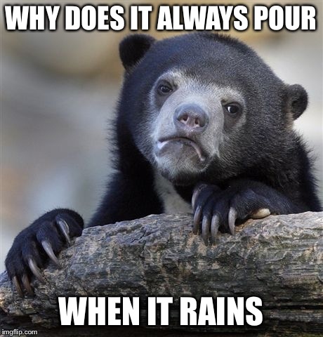 Confession Bear Meme | WHY DOES IT ALWAYS POUR; WHEN IT RAINS | image tagged in memes,confession bear | made w/ Imgflip meme maker