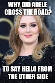 Bad Joke Eel has some competition | WHY DID ADELE CROSS THE ROAD? TO SAY HELLO FROM THE OTHER SIDE | image tagged in memes,adele,hello,bad joke eel,bad pun dog | made w/ Imgflip meme maker