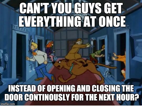 Kids after dark | CAN'T YOU GUYS GET EVERYTHING AT ONCE; INSTEAD OF OPENING AND CLOSING THE DOOR CONTINOUSLY FOR THE NEXT HOUR? | image tagged in scooby doo | made w/ Imgflip meme maker