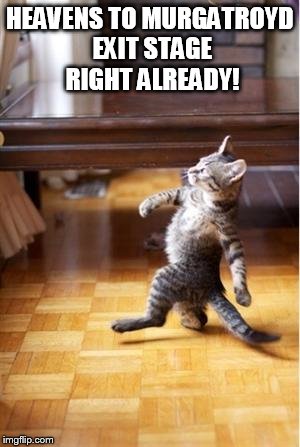 Walking Cat | HEAVENS TO MURGATROYD EXIT STAGE RIGHT ALREADY! | image tagged in walking cat,snaglepuss | made w/ Imgflip meme maker