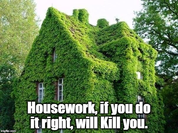 Housework, if you do it right, will kill you.  | Housework, if you do it right, will Kill you. | image tagged in housework if you do it right will kill you.  | made w/ Imgflip meme maker