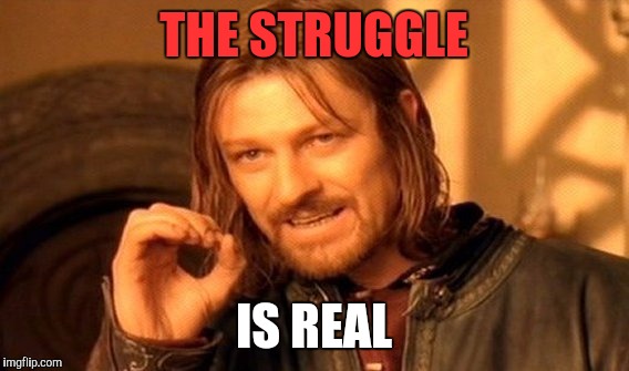 One Does Not Simply | THE STRUGGLE; IS REAL | image tagged in memes,one does not simply | made w/ Imgflip meme maker