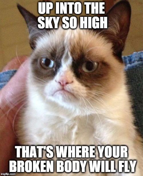 Grumpy Cat Meme | UP INTO THE SKY SO HIGH THAT'S WHERE YOUR BROKEN BODY WILL FLY | image tagged in memes,grumpy cat | made w/ Imgflip meme maker