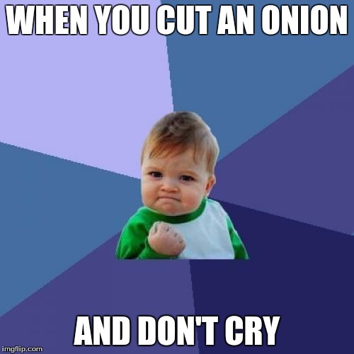 Cooking Wins | WHEN YOU CUT AN ONION; AND DON'T CRY | image tagged in memes,success kid | made w/ Imgflip meme maker