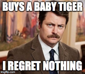 Ron Swanson Meme |  BUYS A BABY TIGER; I REGRET NOTHING | image tagged in memes,ron swanson | made w/ Imgflip meme maker