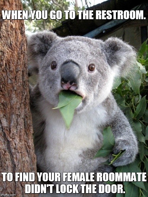 Surprised Koala | WHEN YOU GO TO THE RESTROOM. TO FIND YOUR FEMALE ROOMMATE DIDN'T LOCK THE DOOR. | image tagged in memes,surprised coala | made w/ Imgflip meme maker