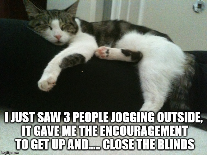 Sleepy Kitty | I JUST SAW 3 PEOPLE JOGGING OUTSIDE, IT GAVE ME THE ENCOURAGEMENT TO GET UP AND.....
CLOSE THE BLINDS | image tagged in kitty,sleepy,no exercise today | made w/ Imgflip meme maker