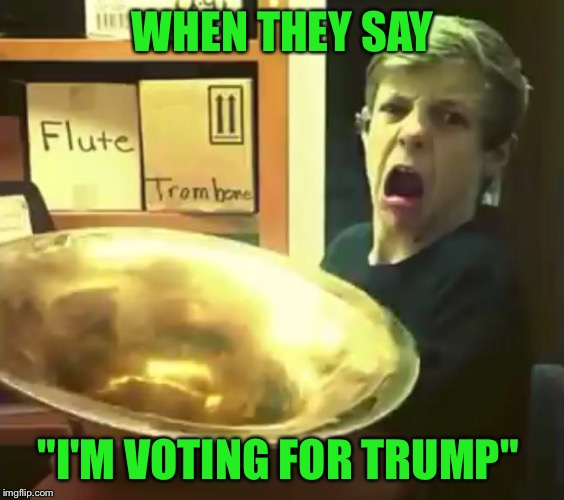 Trump 2016 | WHEN THEY SAY; "I'M VOTING FOR TRUMP" | image tagged in donald trump | made w/ Imgflip meme maker