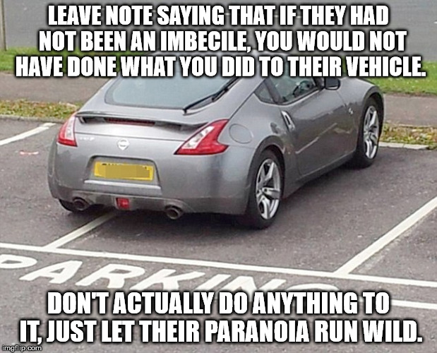 LEAVE NOTE SAYING THAT IF THEY HAD  NOT BEEN AN IMBECILE, YOU WOULD NOT HAVE DONE WHAT YOU DID TO THEIR VEHICLE. DON'T ACTUALLY DO ANYTHING TO IT, JUST LET THEIR PARANOIA RUN WILD. | image tagged in parking | made w/ Imgflip meme maker