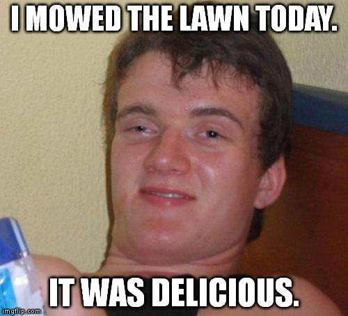 There's nothin' like fresh-cut lawn! | I MOWED THE LAWN TODAY. IT WAS DELICIOUS. | image tagged in memes,10 guy | made w/ Imgflip meme maker