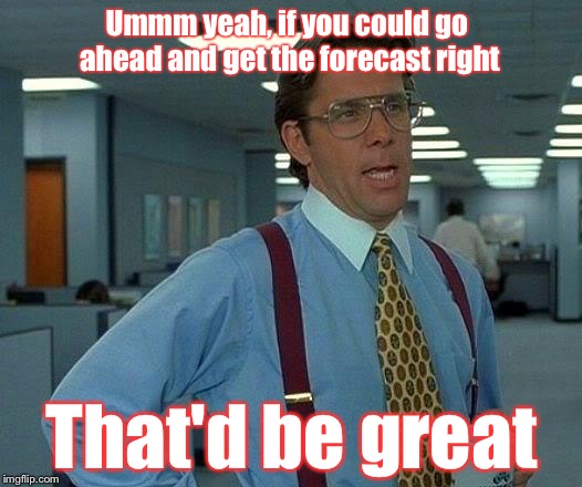 They warned us about this huge winter storm, and we're still waiting... | Ummm yeah, if you could go ahead and get the forecast right; That'd be great | image tagged in memes,that would be great | made w/ Imgflip meme maker