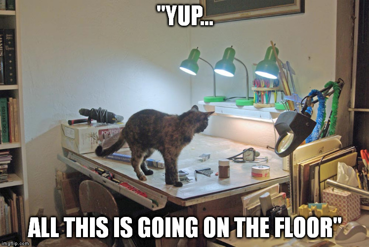 "YUP... ALL THIS IS GOING ON THE FLOOR" | image tagged in memes,cat | made w/ Imgflip meme maker