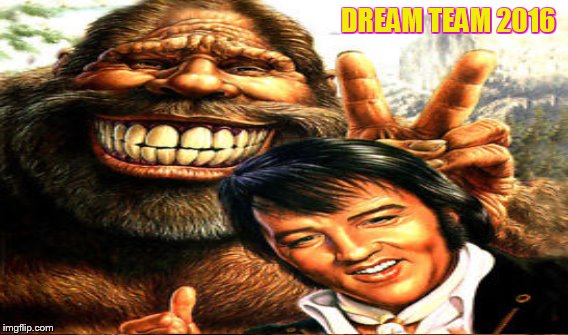 forget trump, cruz, Clinton, and sanders- | DREAM TEAM 2016 | image tagged in vote | made w/ Imgflip meme maker