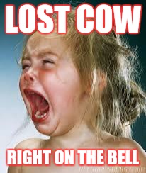 Crying Baby | LOST COW; RIGHT ON THE BELL | image tagged in crying baby | made w/ Imgflip meme maker