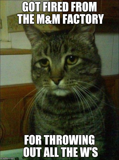 Depressed Cat | GOT FIRED FROM THE M&M FACTORY; FOR THROWING OUT ALL THE W'S | image tagged in memes,depressed cat | made w/ Imgflip meme maker